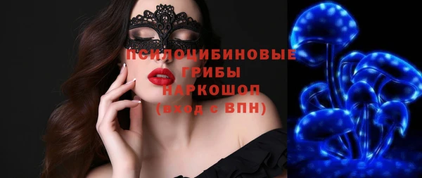 индика Алексеевка