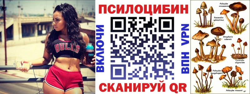 Галлюциногенные грибы ЛСД  купить   Димитровград 