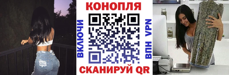 blacksprut вход  Димитровград  Каннабис план 